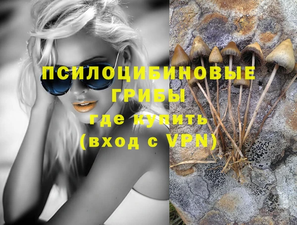 амф Кулебаки