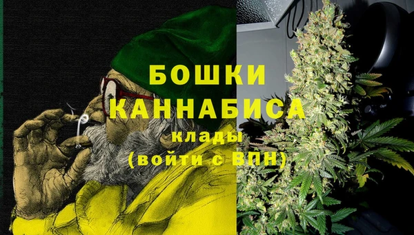 амф Кулебаки
